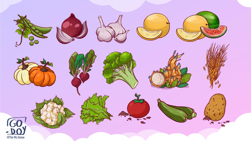 Assets for Client - Digital Art