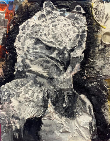 Brazilian Harpy Eagle - Garbage on Canvas