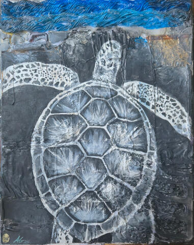 Sea Turtle - Fundraising