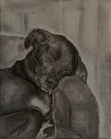 Charcoal on Canvas