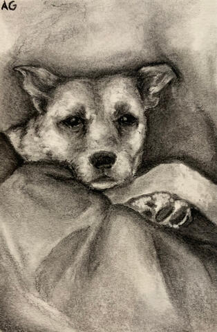 Charcoal Drawing