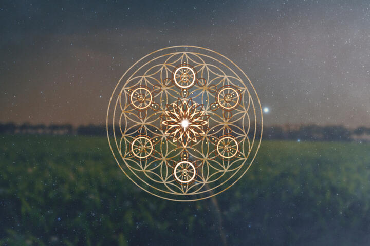 ABUNDANCE