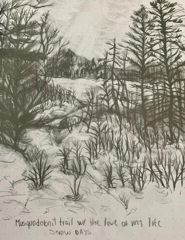 Musquodoboit Trail - Pencil on Paper
